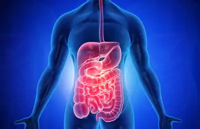 Best Gastrointestinal Tract Disease Homeopathic Treatment in Lucknow, India