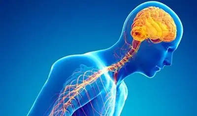 Best Nervous System Diseases Homeopathic Treatment in Lucknow, India