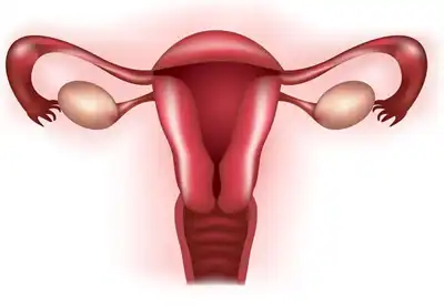 best ovulatory disorder homeopathic treatment in lucknow, India