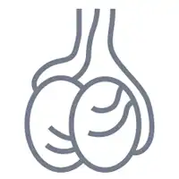 Varicocele treatment in lucknow india