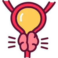 Prostatitis Treatment in Lucknow India