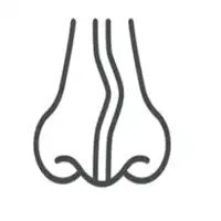 Deviated Nasal Septum treatment in Lucknow India