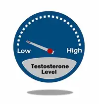 Low Testosterone